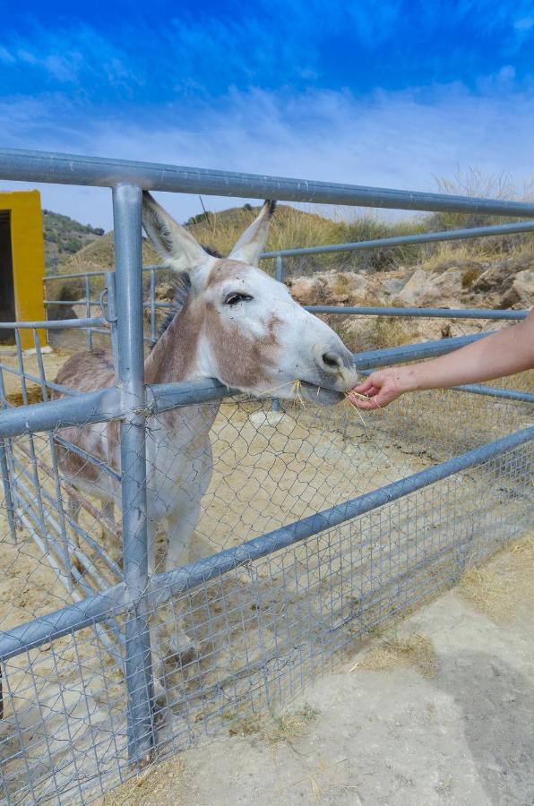Гостьовий будинок Finca Liarte Fuente Alamo  Екстер'єр фото