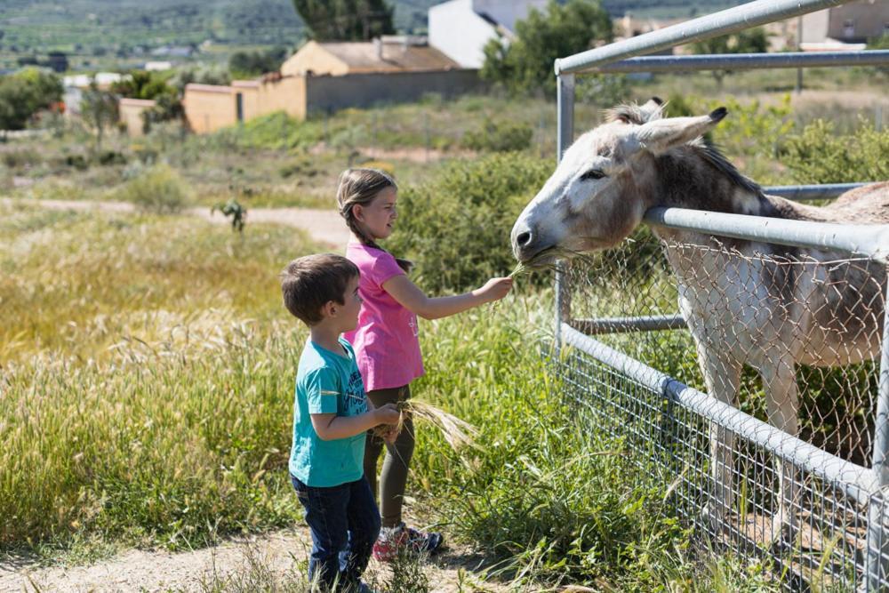 Гостьовий будинок Finca Liarte Fuente Alamo  Екстер'єр фото